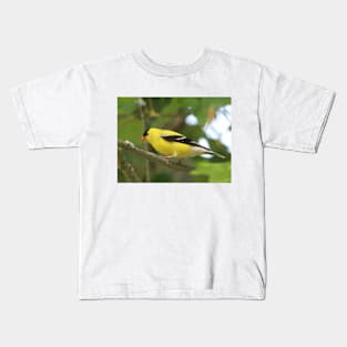 American Goldfinch Brightening Up The Woods Kids T-Shirt